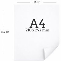 Deckblatt – Rückenkarton weiß A4 300...
