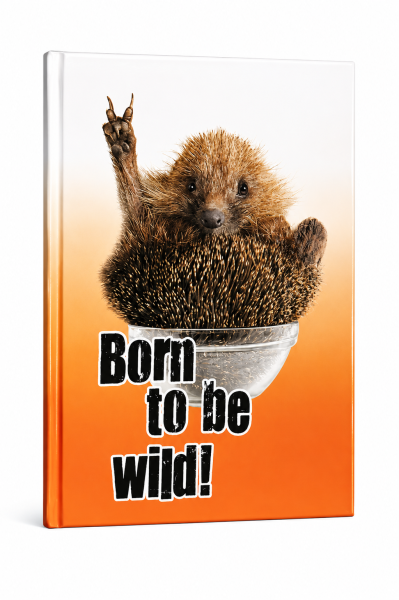 Notizbuch A5 kariert 80 Blatt 80 g/m² – Igel Born to be wild