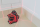 CONDTROL Omniliner 3D Kreuzlinienlaser rot